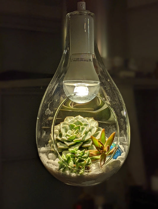 M&A ペンダントランプ ボタニック 小