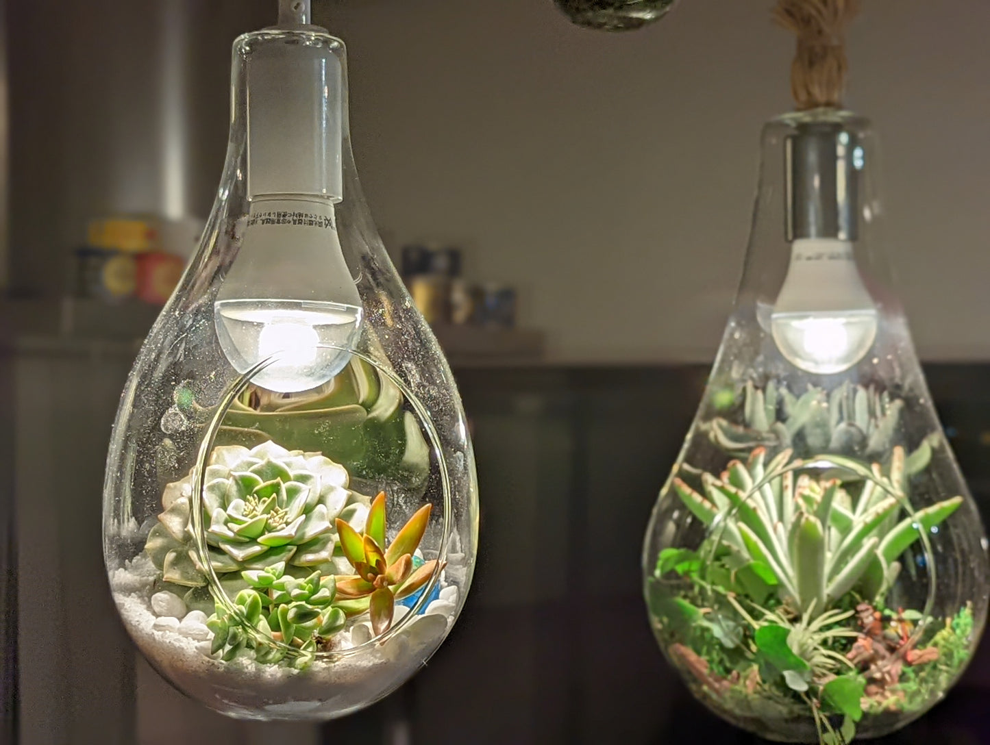 M&A ペンダントランプ ボタニック 小