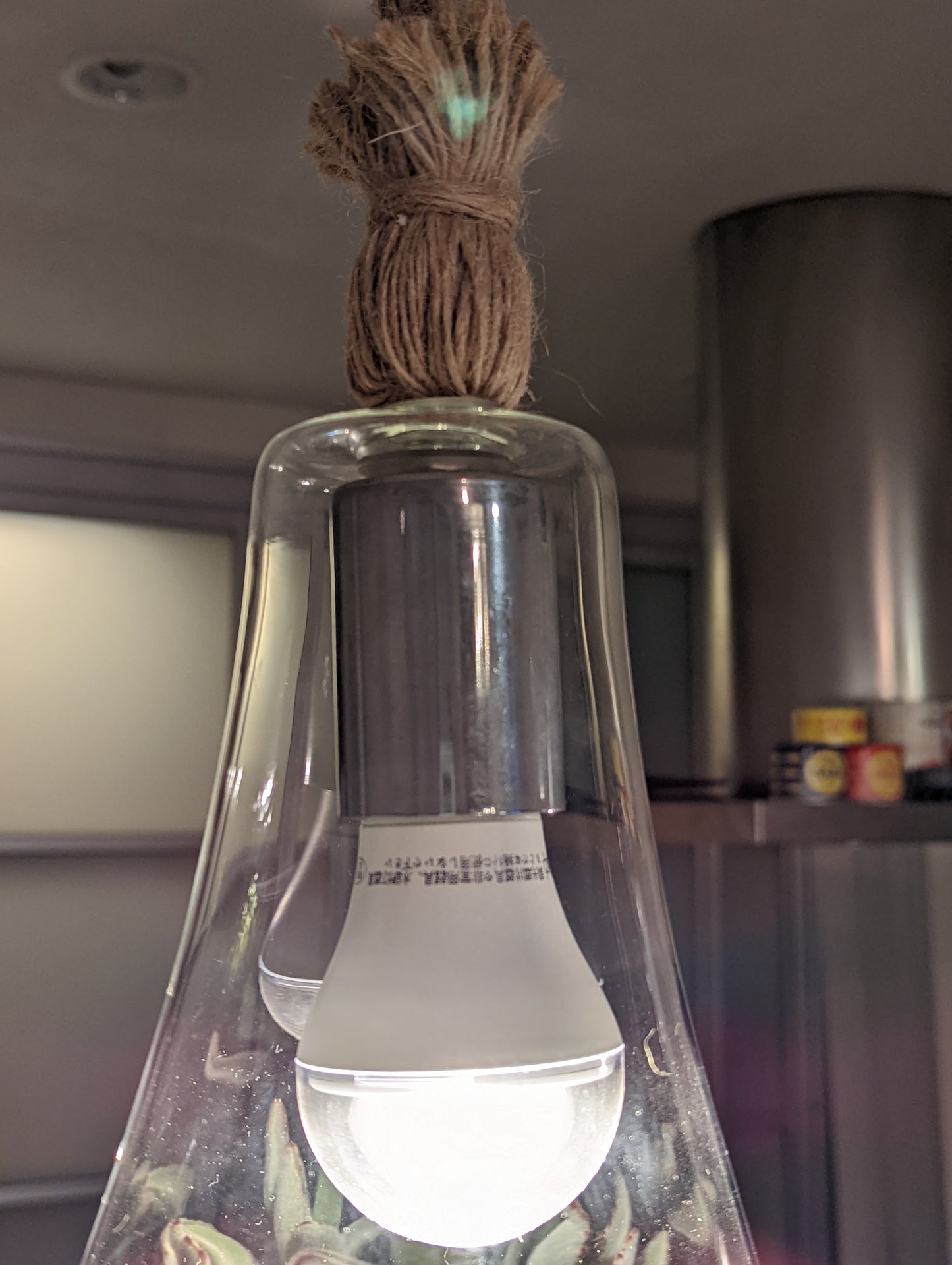 M&A ペンダントランプ ボタニック 大